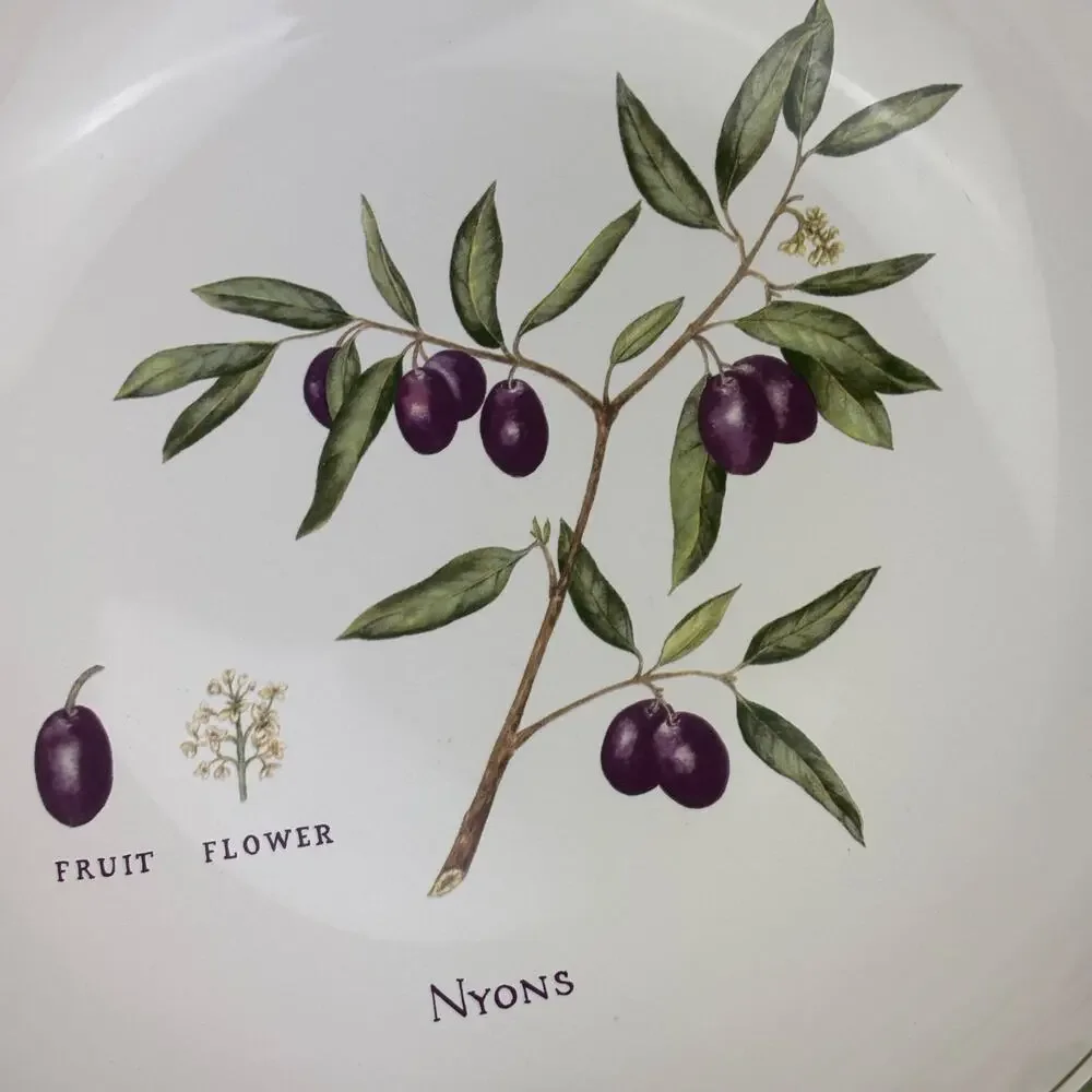 Williams Sonoma Olive Grove Pasta 13